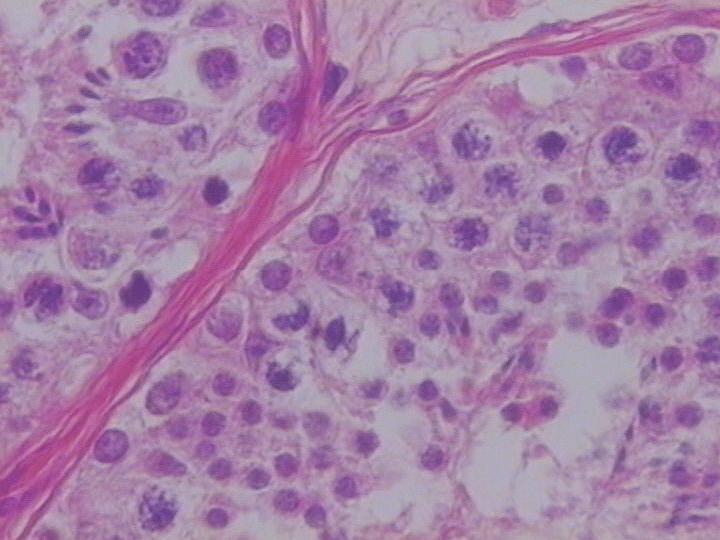 Yosh bola bilan jinsiy aloqa